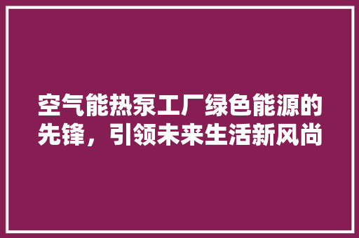 空气能热泵工厂绿色能源的先锋，引领未来生活新风尚 清洁保养