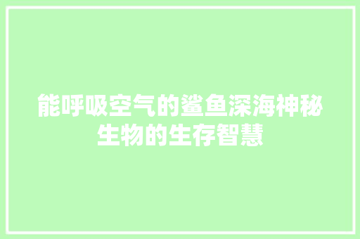 能呼吸空气的鲨鱼深海神秘生物的生存智慧 热水器