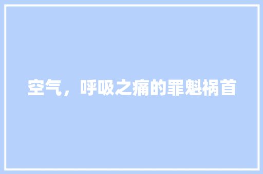 空气，呼吸之痛的罪魁祸首 洁具维修