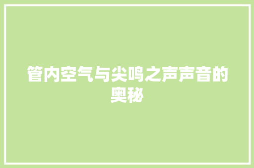 管内空气与尖鸣之声声音的奥秘 局部翻新