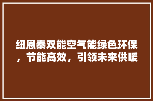 纽恩泰双能空气能绿色环保，节能高效，引领未来供暖新潮流 洁具维修