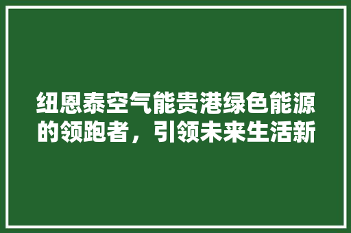 纽恩泰空气能贵港绿色能源的领跑者，引领未来生活新风尚 翻新改色