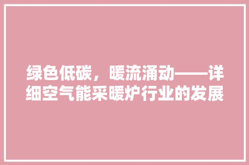 绿色低碳，暖流涌动——详细空气能采暖炉行业的发展与创新 热水器