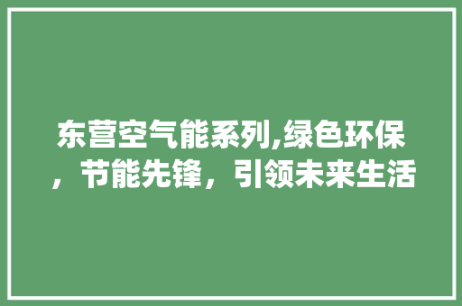 东营空气能系列,绿色环保，节能先锋，引领未来生活新风尚_东营空气能系列安装 东营空气能系列,绿色环保，节能先锋，引领未来生活新风尚_东营空气能系列安装 贴膜