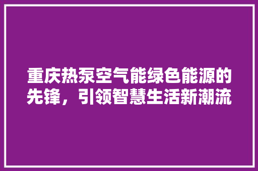 重庆热泵空气能绿色能源的先锋，引领智慧生活新潮流 家电维护