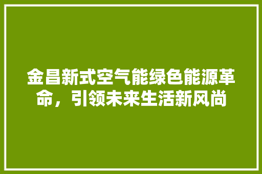 金昌新式空气能绿色能源革命，引领未来生活新风尚 局部翻新