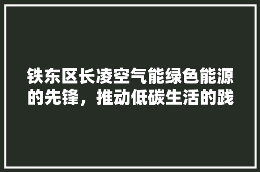 铁东区长凌空气能绿色能源的先锋，推动低碳生活的践行者 热水器