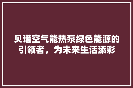 贝诺空气能热泵绿色能源的引领者，为未来生活添彩 洁具维修