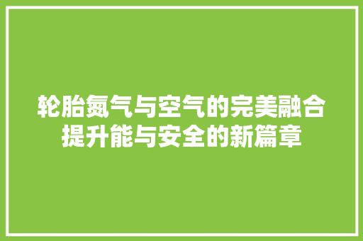 轮胎氮气与空气的完美融合提升能与安全的新篇章 家电维护