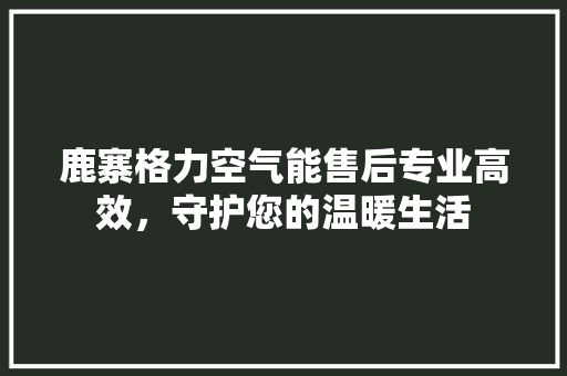 鹿寨格力空气能售后专业高效，守护您的温暖生活 装修设计