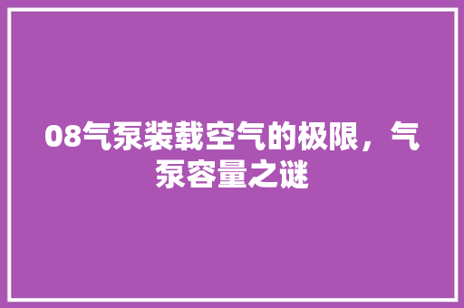 08气泵装载空气的极限，气泵容量之谜 热水器