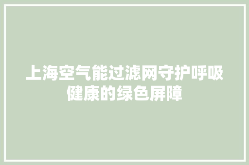 上海空气能过滤网守护呼吸健康的绿色屏障 家居维修