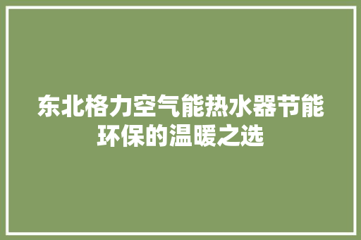 东北格力空气能热水器节能环保的温暖之选 清洁保养