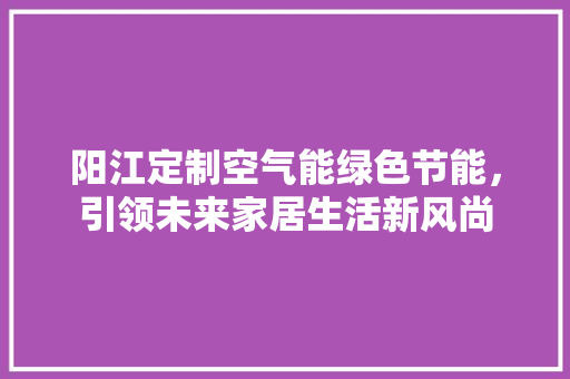 阳江定制空气能绿色节能，引领未来家居生活新风尚 家居维修