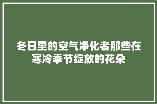 冬日里的空气净化者那些在寒冷季节绽放的花朵 灯具安装