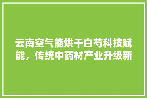 云南空气能烘干白芍科技赋能，传统中药材产业升级新路径 水电维修