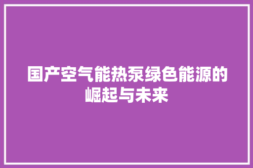 国产空气能热泵绿色能源的崛起与未来 清洁保养