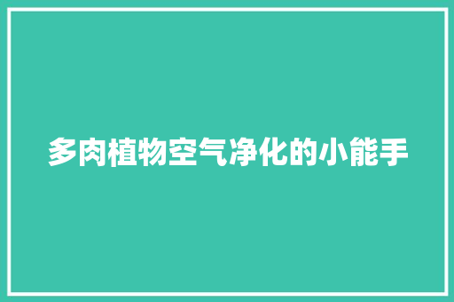 多肉植物空气净化的小能手 洗衣机