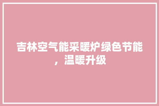 吉林空气能采暖炉绿色节能，温暖升级 热水器