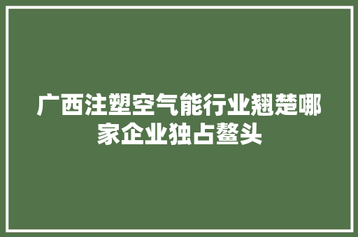 广西注塑空气能行业翘楚哪家企业独占鳌头 热水器