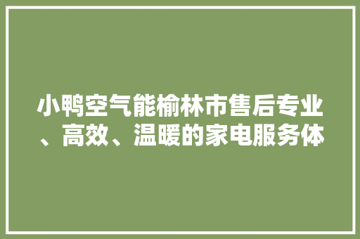 小鸭空气能榆林市售后专业、高效、温暖的家电服务体验 空调