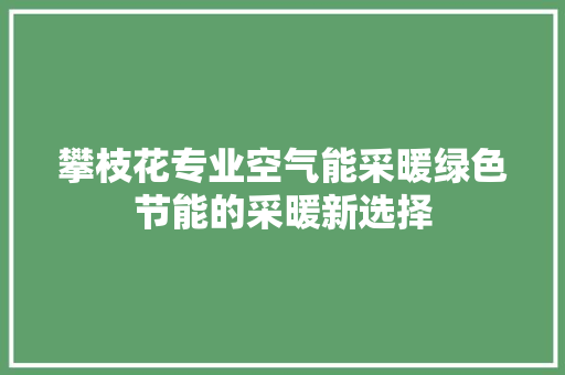 攀枝花专业空气能采暖绿色节能的采暖新选择 空调