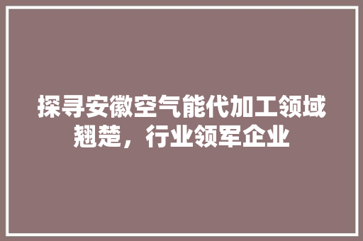 探寻安徽空气能代加工领域翘楚，行业领军企业 旧房改造