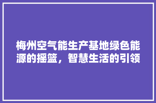 梅州空气能生产基地绿色能源的摇篮，智慧生活的引领者 水电维修