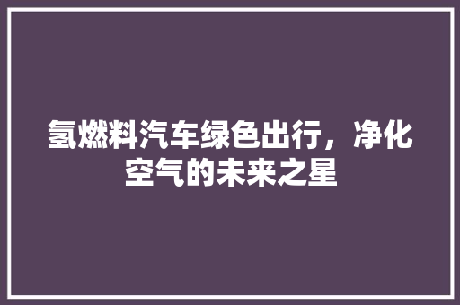 氢燃料汽车绿色出行，净化空气的未来之星 洁具维修