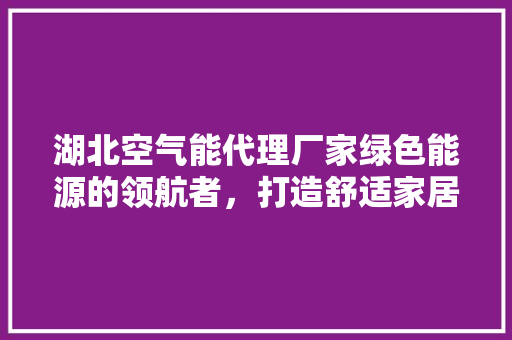 湖北空气能代理厂家绿色能源的领航者，打造舒适家居新风尚 冰箱