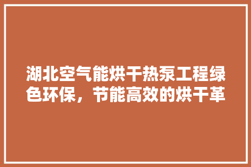 湖北空气能烘干热泵工程绿色环保，节能高效的烘干革命 空调