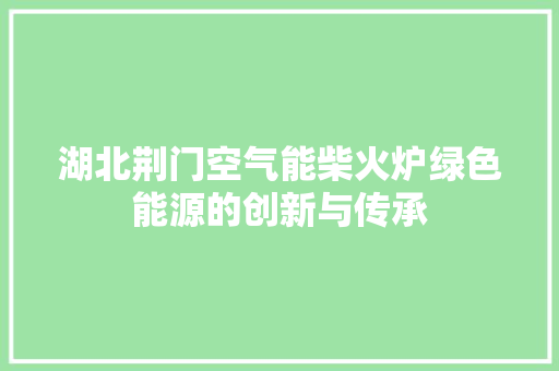 湖北荆门空气能柴火炉绿色能源的创新与传承 热水器