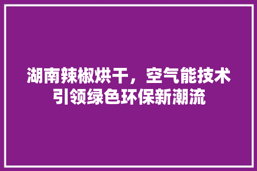 湖南辣椒烘干，空气能技术引领绿色环保新潮流 洗衣机