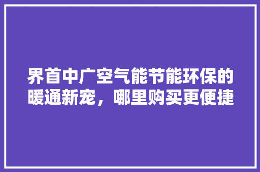 界首中广空气能节能环保的暖通新宠，哪里购买更便捷 热水器