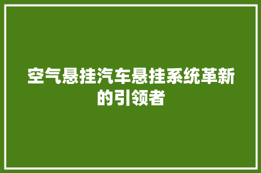 空气悬挂汽车悬挂系统革新的引领者 翻新改色