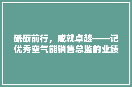砥砺前行，成就卓越——记优秀空气能销售总监的业绩之路 家电维护