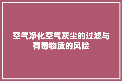 空气净化空气灰尘的过滤与有毒物质的风险 洗衣机