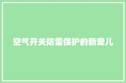 空气开关防雷保护的新宠儿 贴膜