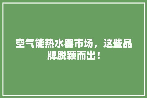空气能热水器市场，这些品牌脱颖而出！ 空调