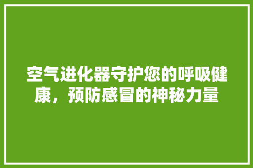 空气进化器守护您的呼吸健康，预防感冒的神秘力量 热水器