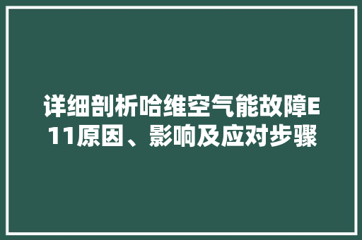 详细剖析哈维空气能故障E11原因、影响及应对步骤 翻新改色