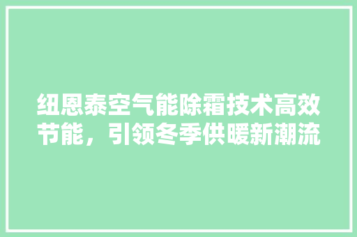 纽恩泰空气能除霜技术高效节能，引领冬季供暖新潮流 装修设计