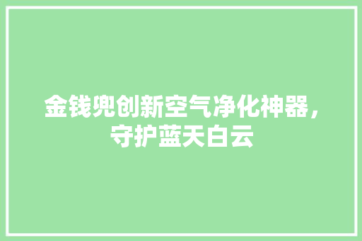 金钱兜创新空气净化神器，守护蓝天白云 旧房改造