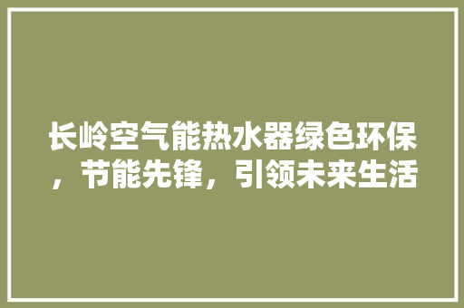 长岭空气能热水器绿色环保，节能先锋，引领未来生活新风尚 局部翻新