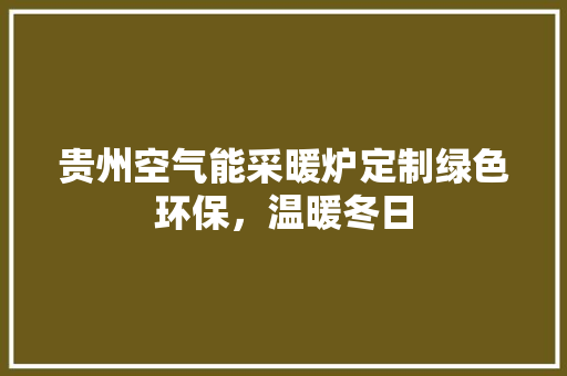贵州空气能采暖炉定制绿色环保，温暖冬日 家电维护