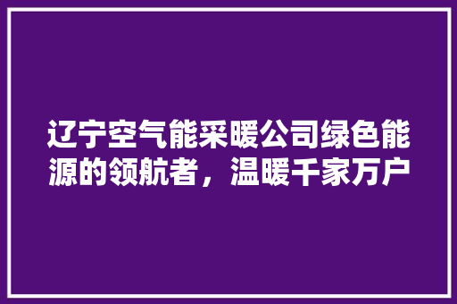 辽宁空气能采暖公司绿色能源的领航者，温暖千家万户 冰箱