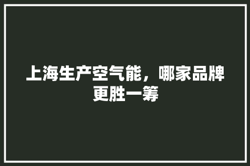上海生产空气能，哪家品牌更胜一筹 局部翻新