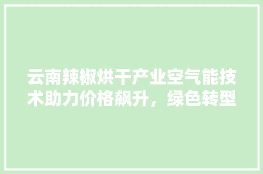 云南辣椒烘干产业空气能技术助力价格飙升，绿色转型前景广阔 局部翻新
