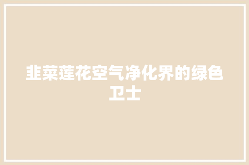 韭菜莲花空气净化界的绿色卫士 洁具维修