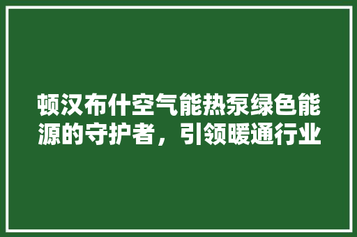 顿汉布什空气能热泵绿色能源的守护者，引领暖通行业新潮流 水电维修
